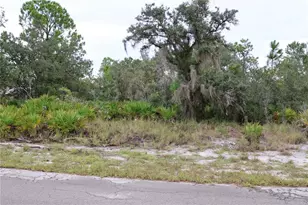 3335 Gerber Ave, Lake Placid, FL 33852 - Photo 1