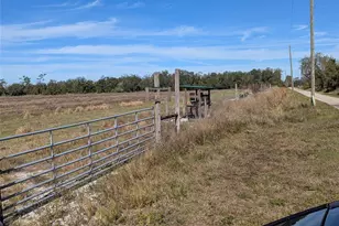 1291 NE Hansel Ave, Arcadia, FL 34266 - Photo 50