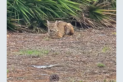 23465 Harborview Road #225, Punta Gorda, FL 33980 - Photo 76