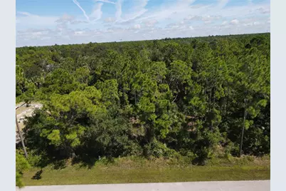 27064 Valencia Drive, Punta Gorda, FL 33955 - Photo 10