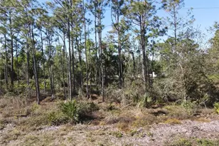 12295 Graffiti Dr, Punta Gorda, FL 33955 - Photo 1