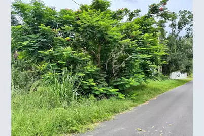 4466 Ganyard Street, Punta Gorda, FL 33980 - Photo 4