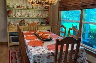 503 Bear Road Rd, Lake Placid, FL 33852 - Photo 14