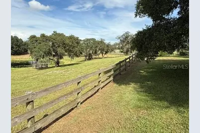 503 Bear Road Road, Lake Placid, FL 33852 - Photo 8