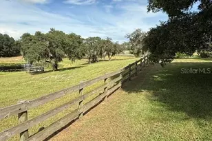 503 Bear Road Rd, Lake Placid, FL 33852 - Photo 8