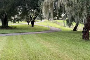 503 Bear Road Rd, Lake Placid, FL 33852 - Photo 4