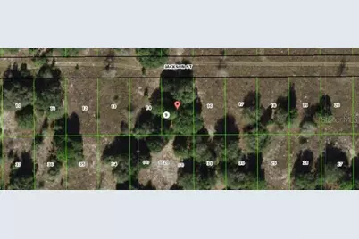 2403 Jackson Street, Inverness, FL 34453 - Photo 2