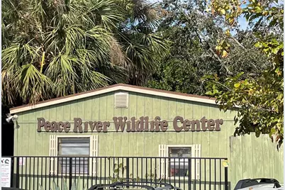 85 Vivante Boulevard #8534, Punta Gorda, FL 33950 - Photo 80