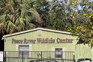 85 Vivante Blvd, Punta Gorda, FL 33950 - Photo 80