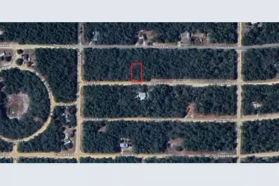 917 David Avenue, Interlachen, FL 32148 - Photo 8