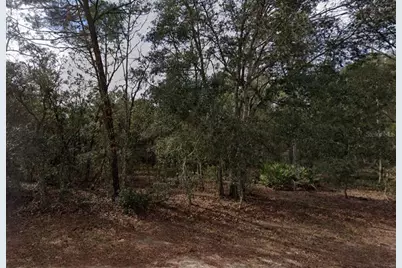 917 David Avenue, Interlachen, FL 32148 - Photo 1