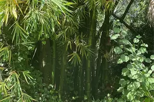 Snyder (Lot 6 Block 1019) St, North Port, FL 34288 - Photo 26