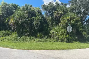 Snyder (Lot 6 Block 1019) St, North Port, FL 34288 - Photo 32