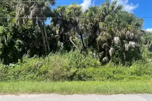 Snyder (Lot 6 Block 1019) St, North Port, FL 34288 - Photo 22