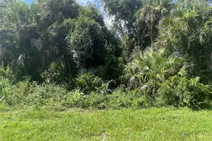 Snyder (Lot 6 Block 1019) St, North Port, FL 34288 - Photo 6