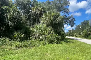 Snyder (Lot 6 Block 1019) St, North Port, FL 34288 - Photo 20