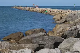 245 Center Rd, Venice, FL 34285 - Photo 36