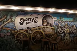 3216 Purple Martin Dr, Punta Gorda, FL 33950 - Photo 60