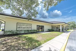 301 Thorn Hill Pl, Sun City Center, FL 33573 - Photo 52