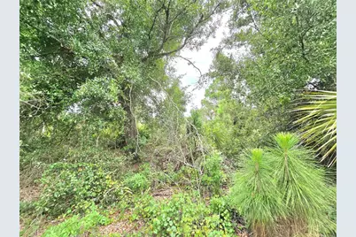 10382 Deerwood Avenue, Englewood, FL 34224 - Photo 8