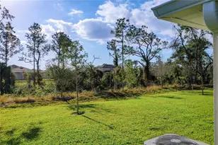 1826 West Palms Drive, Port Charlotte, FL 33953 - Photo 50