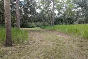 7062 Crooked Creek Ln, Zolfo Springs, FL 33890 - Photo 2