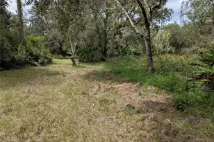 7062 Crooked Creek Ln, Zolfo Springs, FL 33890 - Photo 40