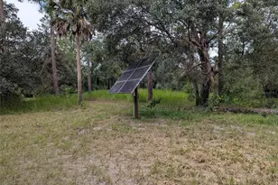 7062 Crooked Creek Ln, Zolfo Springs, FL 33890 - Photo 18