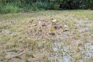 7062 Crooked Creek Ln, Zolfo Springs, FL 33890 - Photo 20