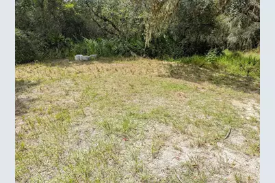 7062 Crooked Creek Lane, Zolfo Springs, FL 33890 - Photo 36