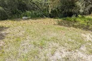 7062 Crooked Creek Ln, Zolfo Springs, FL 33890 - Photo 36