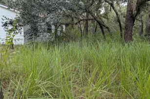 7062 Crooked Creek Ln, Zolfo Springs, FL 33890 - Photo 12