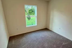 10720 Zigler Ave, Hastings, FL 32145 - Photo 4