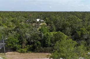 3136 Joshua St, Port Charlotte, FL 33948 - Photo 54