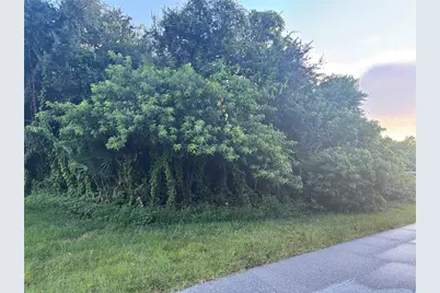 1019 Tropical Avenue NW, Port Charlotte, FL 33948 - Photo 2