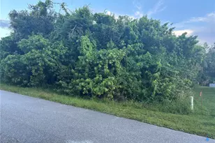 1019 Tropical Ave NW, Port Charlotte, FL 33948 - Photo 1