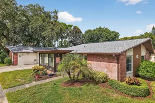 2320 Shelly Dr, Palm Harbor, FL 34684 - Photo 2