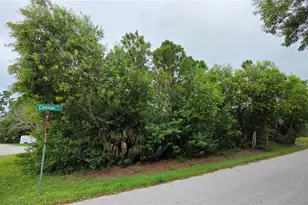 12339 Cognac Dr, Punta Gorda, FL 33955 - Photo 1