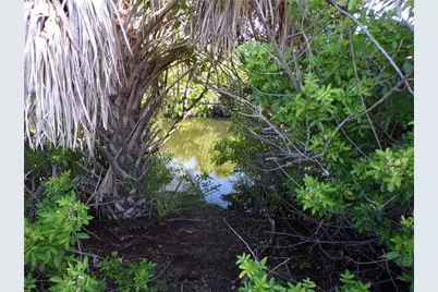 13384 Alewife Lane, Placida, FL 33946 - Photo 12