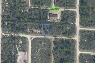 3507 & 3509 Jamboree St, Lake Placid, FL 33852 - Photo 1