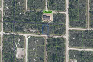 3507 & 3509 Jamboree St, Lake Placid, FL 33852 - Photo 2
