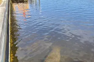 3182 Lake View Blvd, Port Charlotte, FL 33948 - Photo 64