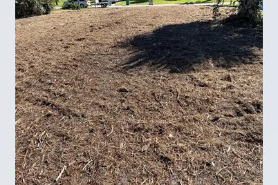 145 Robina Street, Port Charlotte, FL 33954 - Photo 4