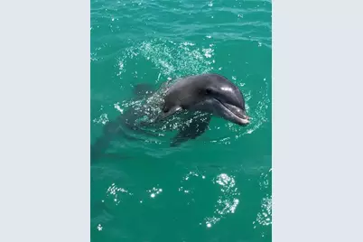 10428 Marion Street, Englewood, FL 34224 - Photo 14