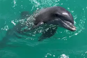 10428 Marion St, Englewood, FL 34224 - Photo 14