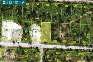 27462 Corinthian Dr, Punta Gorda, FL 33955 - Photo 1