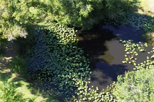 30110 Loblolly Pine Dr, Punta Gorda, FL 33982 - Photo 88