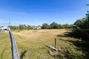 12143 Dubarry Ave, Port Charlotte, FL 33981 - Photo 44