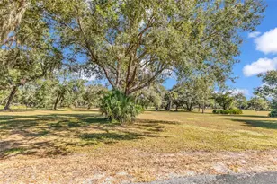 10174 SW County Rd 769, Arcadia, FL 34269 - Photo 38
