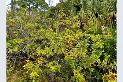 E Hallmark Blvd, North Port, FL 34288 - Photo 4